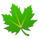 Greenify Donate دانلود نرم افزار محبوب کاهش مصرف باتری اندروید