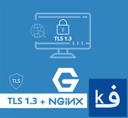 آموزش فعال کردن TLS v1.3 برای NGINX در دایرکت ادمین