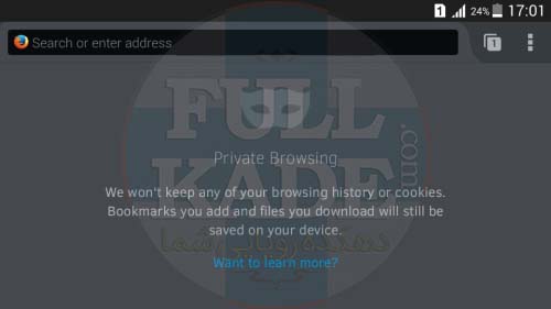 private_browsing_android9